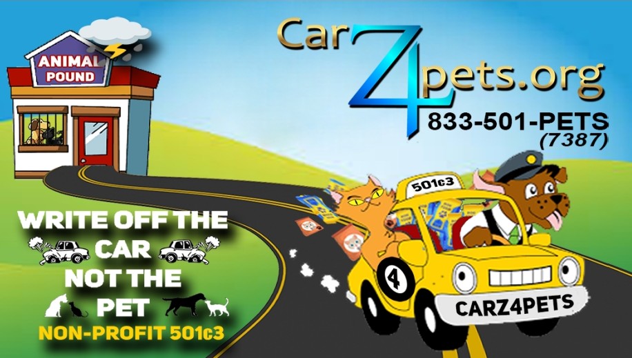carz4pets - dedicated to supporting pet shelters, providing foster care to homeless animals in Queens, NY